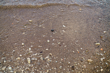 closeup shot of baltic sea shore at autumn morning