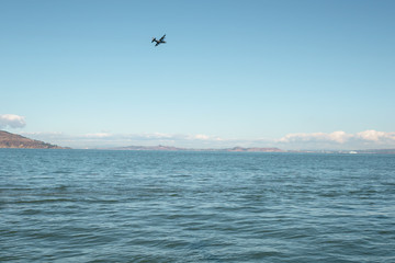 Fototapeta na wymiar San Francisco bay from pier in sunny warm day