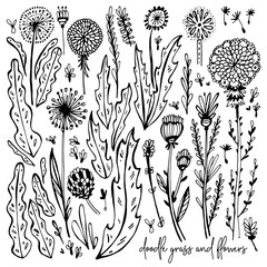 Set of black and white Doodle elements. Dandelions, grass, bushes, leaves, flowers. Vector illustration, Great design element for congratulation cards, banners and others