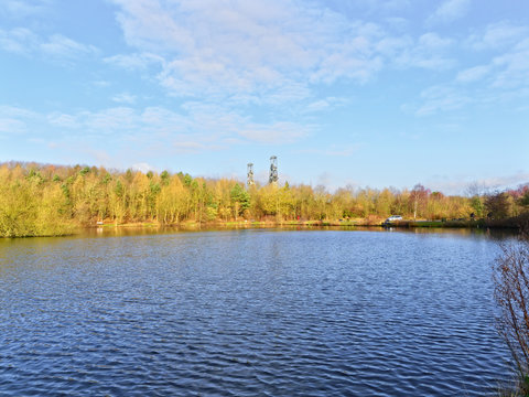 Tree lined lake in Vicar Water country park on a bright winter morning.