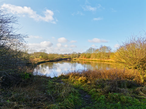 Part shaded woodland pond on a bright winter day in Vicar Water Country Park.