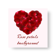 Cover catalog in romantic design with falling rose petals