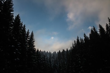 there are a lot of wonders surround us. it´s on us to see them!