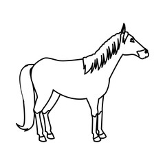 Obraz na płótnie Canvas Horse Animal isolated icon vector illustration graphic design