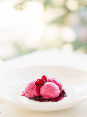 delicious refreshing pink ice cream balls background concept. cold restaurant dessert. sweets for children