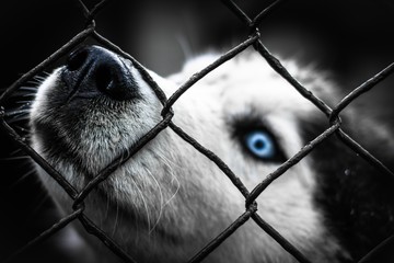 his eys are telling a beautiful story 