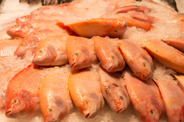 a number of pink and black  tilapia fishes