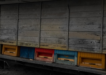 color bee houses