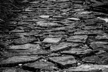 camino de piedra