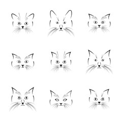 Black cat face, vector illustration.