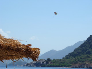 A cane parasol