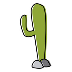 Cactus plant isolated icon vector illustration graphic design