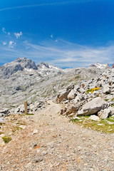 Stony track in mountains of Picos de Europa and tourists, the vicinity of Fuente De