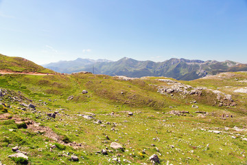 Fototapeta na wymiar Stony track in mountains of Picos de Europa and tourists, the vicinity of Fuente De