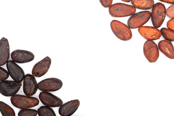 cocoa bean isolated on white background with copy space for your text. Top view. Flat lay