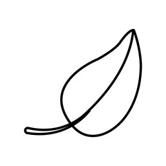 Leaf eco symbol icon vector illustration graphic design