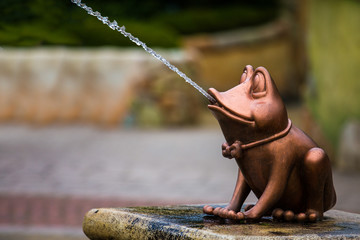 The miniature frog fountain is spouting water.