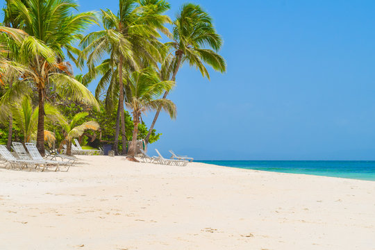 Sonnenliegen unter Palmen am Strand mit wei&szlig;em Sand, t&uuml;rkis-blaues Meer, blauer wolkenloser Himmel in der Dominikanischen Republik, Karibik, Cayo Levantado, Bacardi Insel