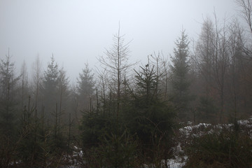 Aufstieg zum Tanzplan 27.01.2018