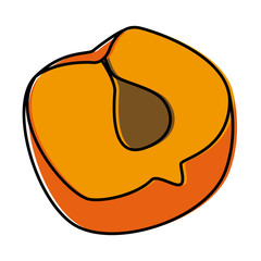 Peach half cut icon vector illustration graphic design