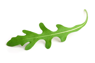 Green fresh rucola or arugula leaf isolated on white background macro - obrazy, fototapety, plakaty