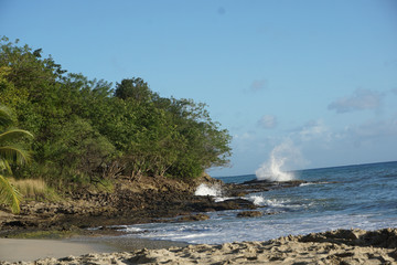 Obraz premium Côte et plage MARTINIQUE Sainte Luce