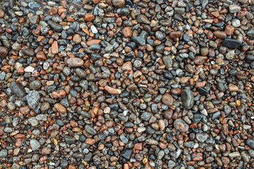 Wet colored sea stones texture