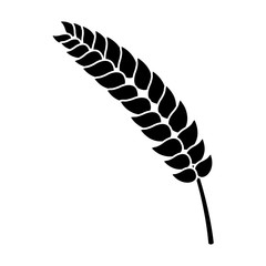 Wheat food symbol icon vector illustration graphic design