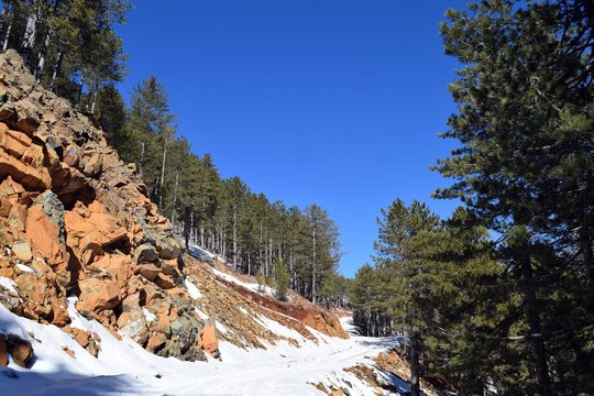 Agla bilder Bläddra bland 149 stockfoton, vektorer och videor Adobe