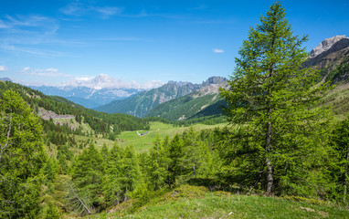 mountain landscape in summer and the dark blue sky with clouds in Trentino Alto Adige. View from Passo Rolle, Italian Dolomites, Trento, Italy.