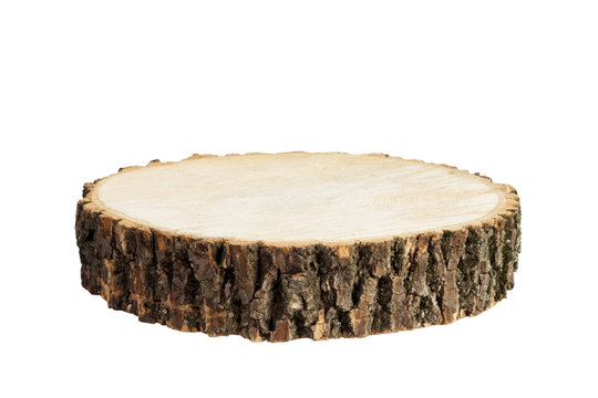 Wooden stump isolated. Cross section of tree trunk, isolated on white background
