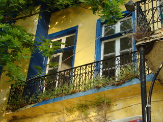 Abandoned Yellow HOuse with Blue Windows and Terrace among the high trees