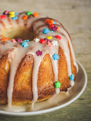 sweet and lush baking for dessert (biscuit with filling - cake)