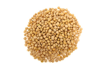 soybean isolated on white background