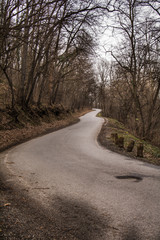 Fototapeta premium Kosutnjak , is a park-forest and urban neighborhood of Belgrade, the capital of Serbia.