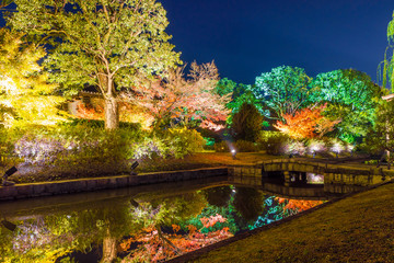 日本の秋 京都 東寺のライトアップと紅葉
