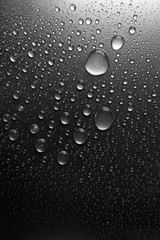 Water drops on a shaded surface, black and white