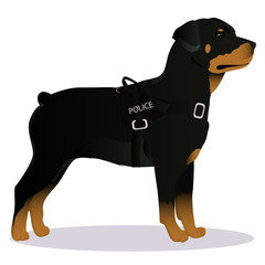 Rottweiler Police dog