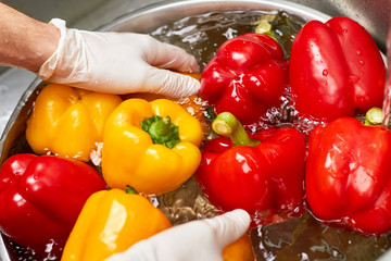 Hands in gloves washing peppers into bowl, close up. Rinsing vegetables into metal bowl.