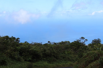 Obraz premium TEST.JPG00000