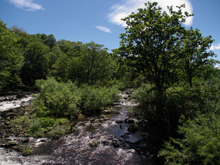 Naklejka na ściany i meble 日本の風景