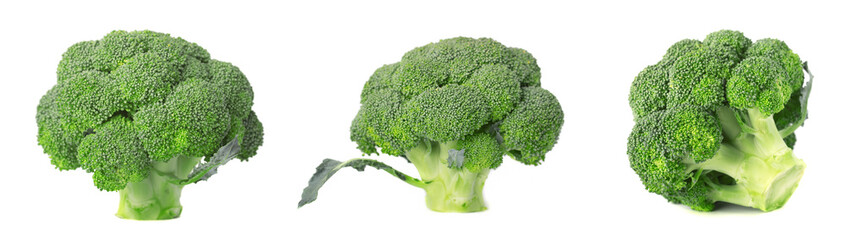 Broccoli isolated on white background. Fresh broccoli isolated on white background. Closeup