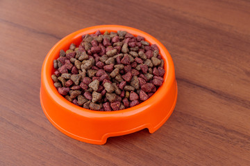 Dry cat food in bowl on wooden background. Pet food on wood surface
