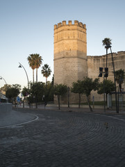 Torre octogonal del Alcázar de Jerez de la Frontera 