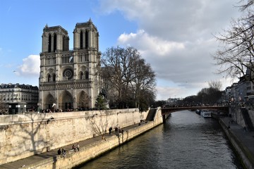 Fototapeta na wymiar Quai de Notre Dame