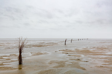 Nordsee Watt bei Ebbe