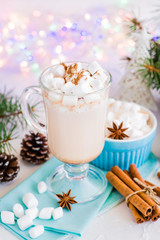 Hot cocoa with marshmallow and ground cinnamon in a glass