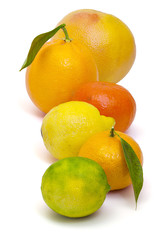 agrume, pamplemousse, citron jaune, citron vert, mandarine, clémentine, orange