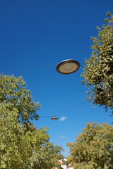 Lampes suspendues entre les arbres avec ciel bleu