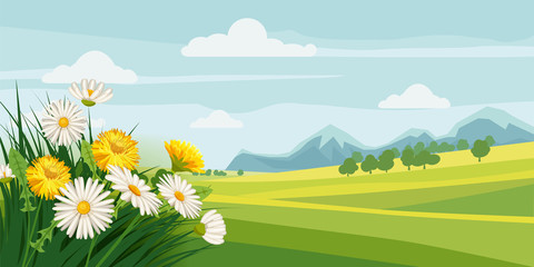 Spring beautiful scenery, fields, chamomile flowers, dandelions, mountains, clouds, cartoon style, vector, illustration, isolated